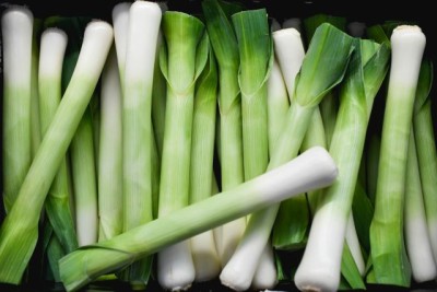 how to regrow leeks