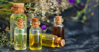 essential oils for germs