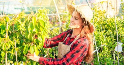 why is gardening good for you