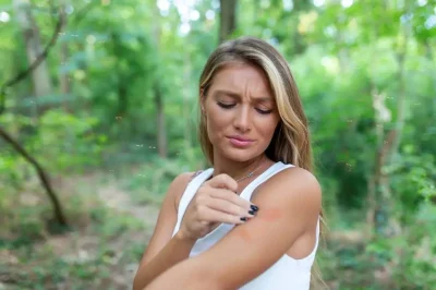 Mosquitoes Target