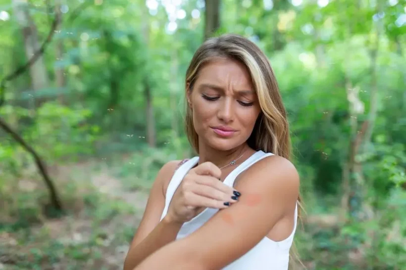 Mosquitoes Target